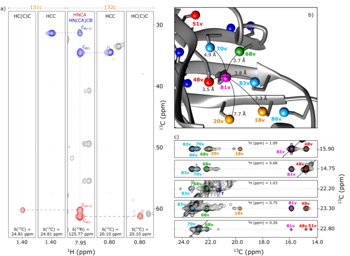 A fast and efficient strategy for the NMR assignment of Fab methyl groups