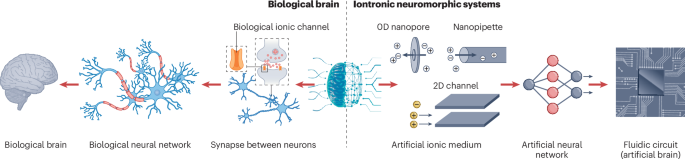 Nanofluidic ionic memory for next-generation computing