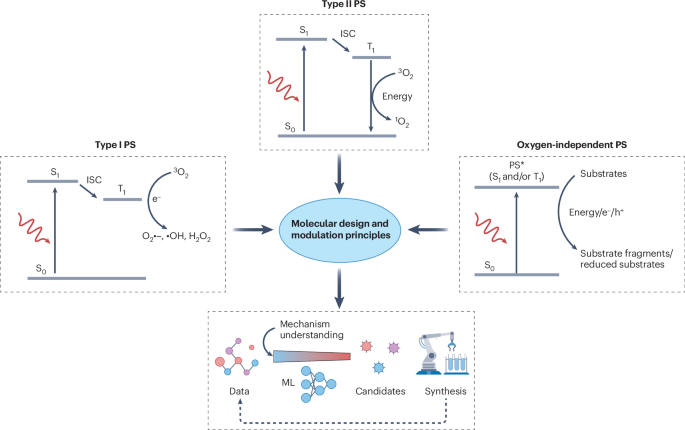 Molecular design for high-performance organic photosensitizers