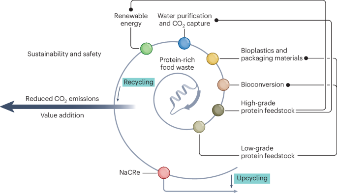 Proteins for a sustainable future