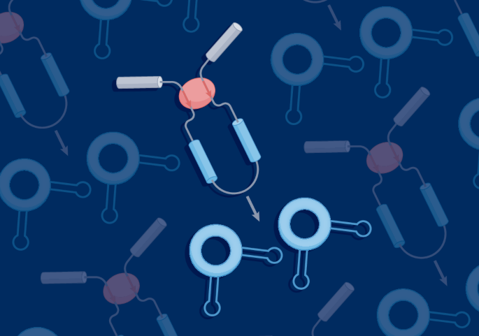 Overview of circular RNA databases and other resources
