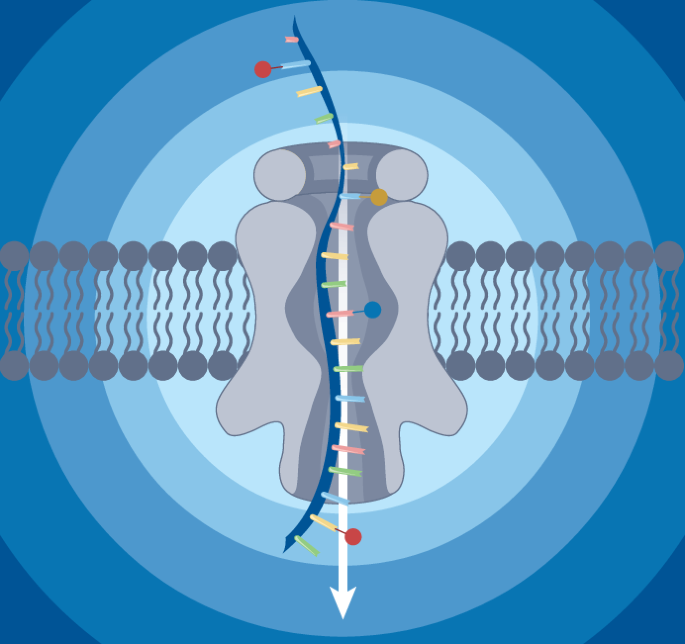 RNA modifications: one ring to map them all