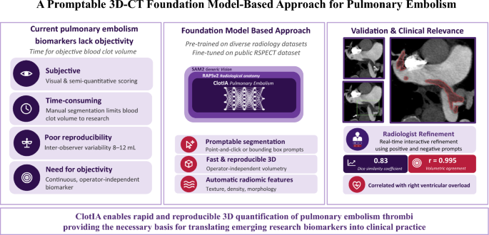 A Promptable 3D-CT Foundation Model-Based Approach for Pulmonary Embolism