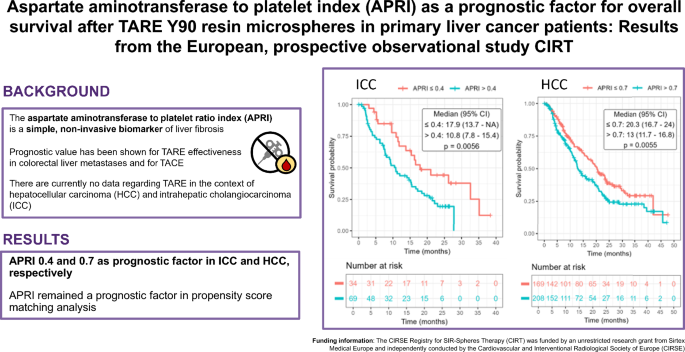 Aspartate Aminotransferase to Platelet Index (APRI) as a Prognostic Factor for Overall Survival After TARE Y90 Resin Microspheres in Primary Liver Cancer Patients: Results from the European, Prospective Observational Study CIRT