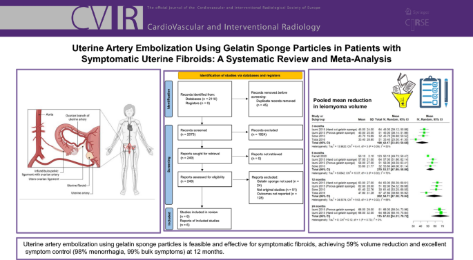 Correction: Uterine Artery Embolization Using Gelatin Sponge Particles in Patients with Symptomatic Uterine Fibroids: A Systematic Review and Meta-Analysis