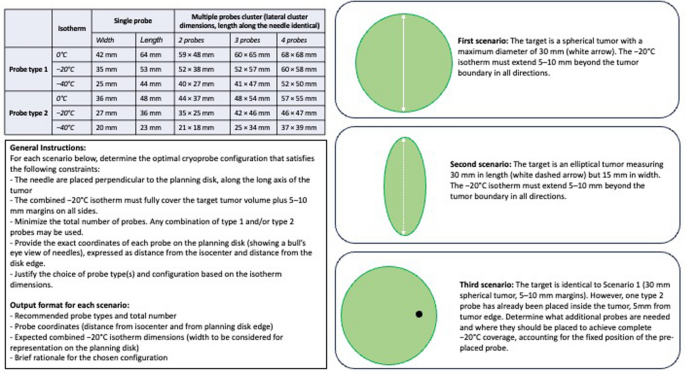 Automated Cryoprobe Planning Using a Large Language Model: A Geometric Approach to Optimize Probe Placement Based on Isotherm Data
