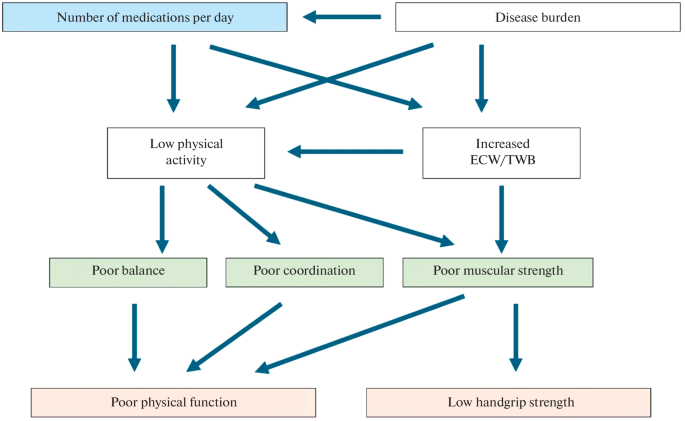 Associations between Number of Different Medications per Day and Physical Function in Icelandic Community Dwelling Older Adults