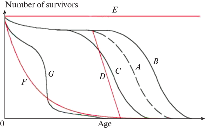 Defining Aging: Past, Present, and Possible Future