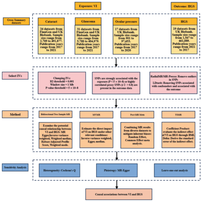 Visual Impairment and Handgrip Strength in Aging: Evidence from Bidirectional Mendelian Randomization