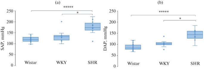 The Relationship between Anxiety, Depression-Like Behavior, and Arterial Pressure: A Comparative Study in 13-Month-Old Wistar, WKY, and SHR Rats