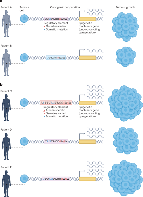 Epigenetic modulation of prostate cancer disparities in men with African ancestry