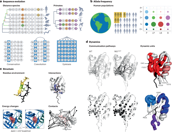 Decoding variants of uncertain significance in systemic autoinflammatory diseases