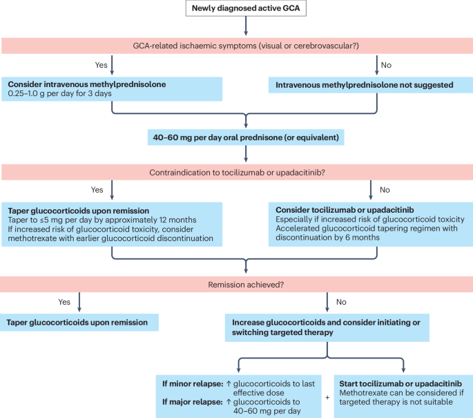Treatment strategies in giant cell arteritis and polymyalgia rheumatica: beyond glucocorticoids
