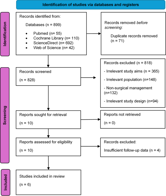 Efficacy of Facial Reanimation Surgery in Unilateral Facial Paralysis: A Systematic Review with a Focus on the Six-Month Surgical Decision Window