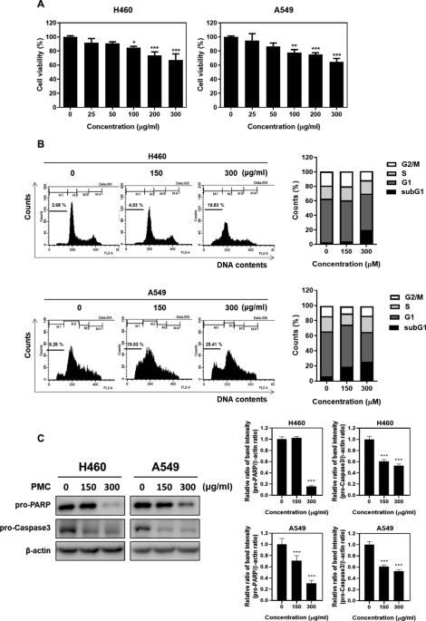 Apoptotic and combinatorial potential of processed Mica via inhibition of CCR4-NOT transcription complex subunit 2/c-Myc and production of reactive oxygen species in non-small cell lung cancer cells
