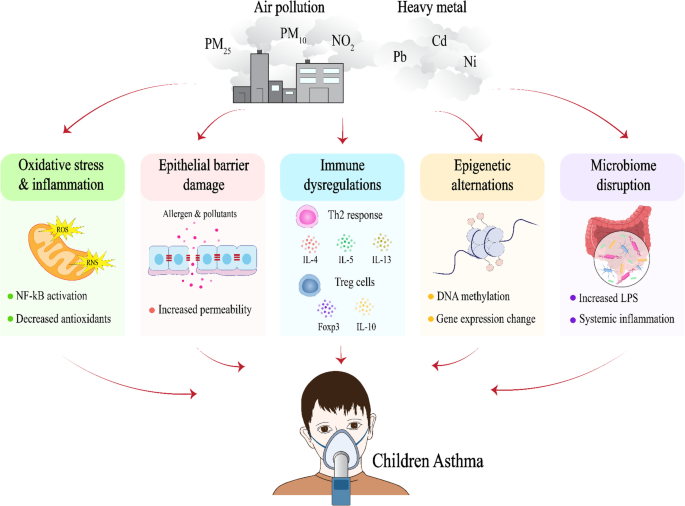 The Modern Environment and Childhood Asthma: The Role of Air Pollution and Heavy Metal Exposure