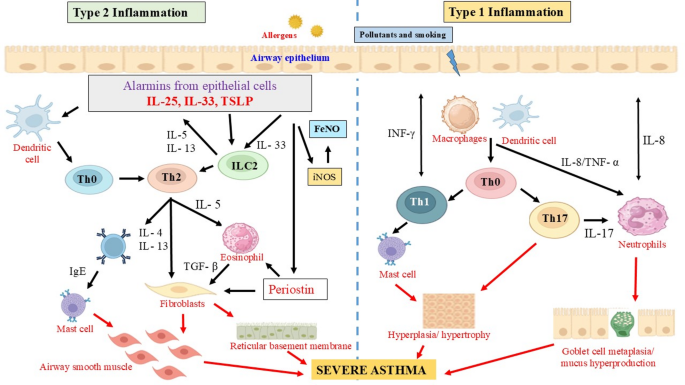Targeting Type 2 and Non-type 2 Asthma: Emerging Biologics and Personalized Strategies
