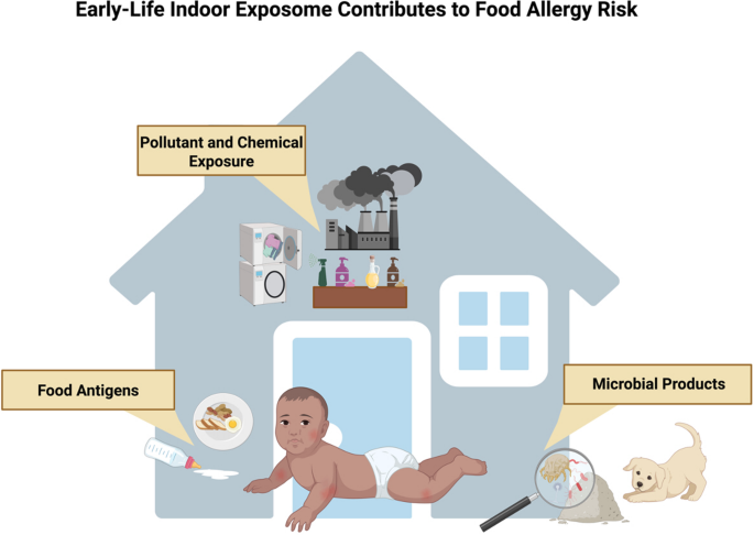 The Role of the Indoor Exposome in Food Allergy Development