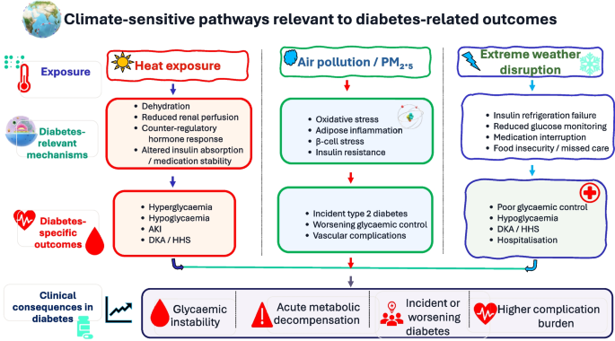 Climate Change and Diabetes Outcomes: Evidence from Climate-Vulnerable Regions