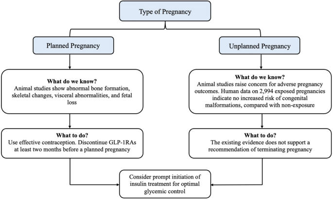 Use of Glucagon-Like Peptide-1 Receptor Agonists in Women with Type 2 Diabetes Before Pregnancy: Addressing the Dilemma in A Real-World Setting
