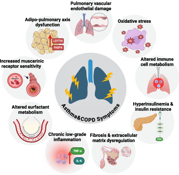 Type 2 Diabetes and the Lung – Cause and Consequence