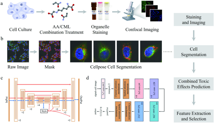 Employing Deep Learning for the Analysis of Cellular Phenotypic Changes to Assess the Combined Toxicity of Maillard Reaction Products