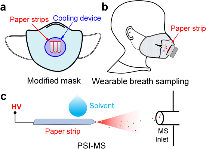 On-site Mass Spectrometry Detection of Exhaled Nitric Oxide Using Modified-Mask Sampling