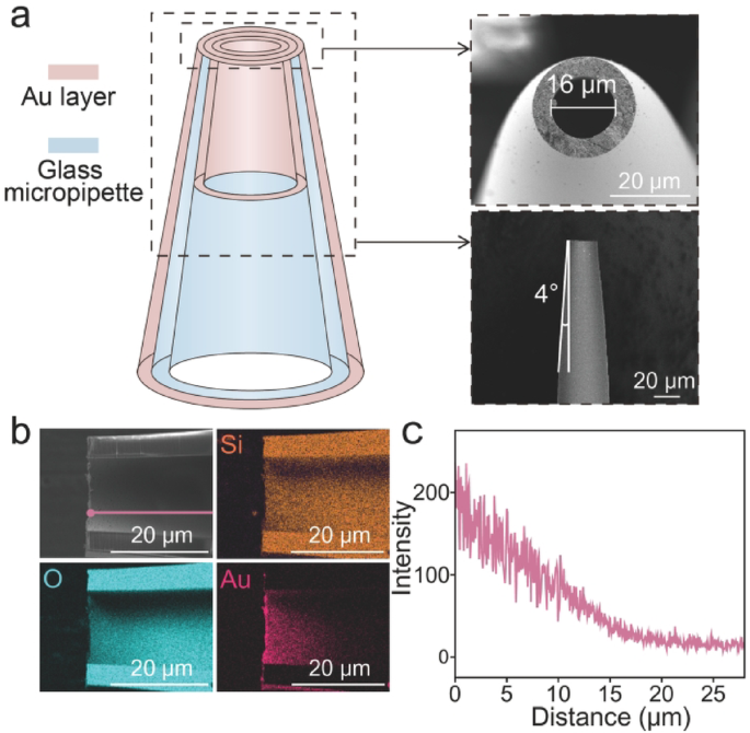Electrochemically Converted Dopamine Release Platform for Kinetic Analysis of Ca Responses in Hippocampal Neurons