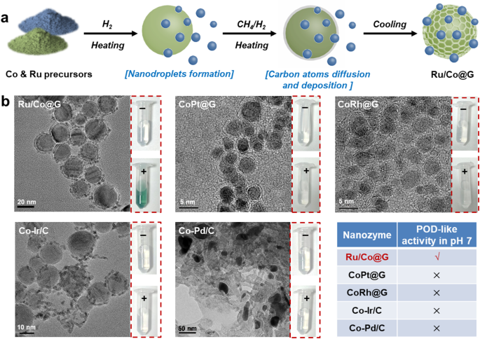 A Robust Magnetic Graphitic Nanozyme Breaking The pH Limitation For Colorimetric Isoniazid Assay in Biosamples