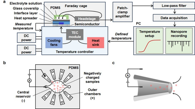 Peltier-Based Temperature Control Enables High-Bandwidth and Low-Noise Measurements with Solid-State Nanopores