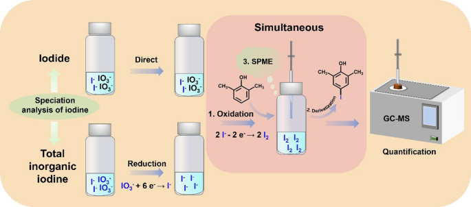 Highly Sensitive Analysis of Iodine in Seawater via Headspace Solid-Phase Microextraction Coupled with Gas Chromatography-Mass Spectrometry