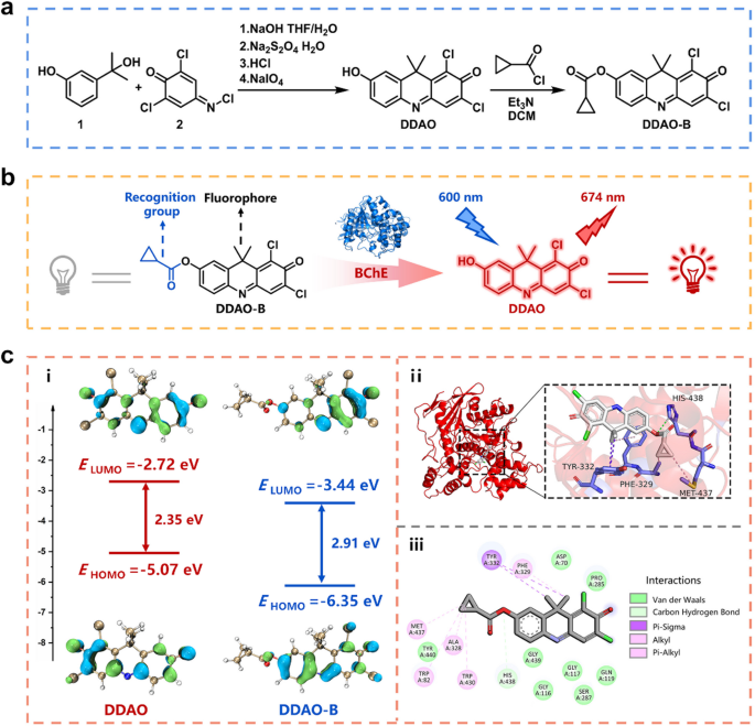 Real-Time Imaging of Pulmonary Inflammation and Smoke-Induced Lung Toxicity via a Near-Infrared Probe Targeting Butyrylcholinesterase Activity
