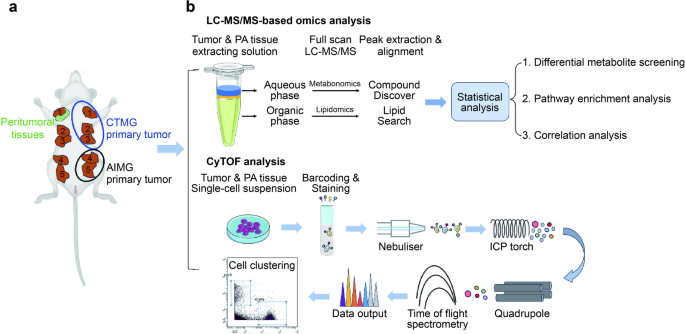 Mass Spectrometry-Based Multi-Omics Integration Decodes Metabolic-Immune Crosstalk in Multifocal Breast Cancer Progression