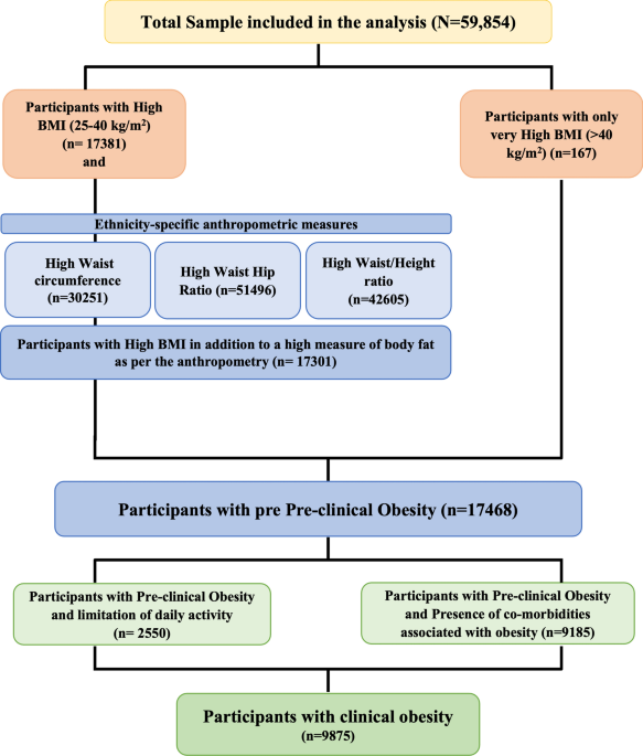 Novel Clinical and Pre-clinical Obesity Estimates in Older Indian Adults: Insights from a Nationally Representative Dataset