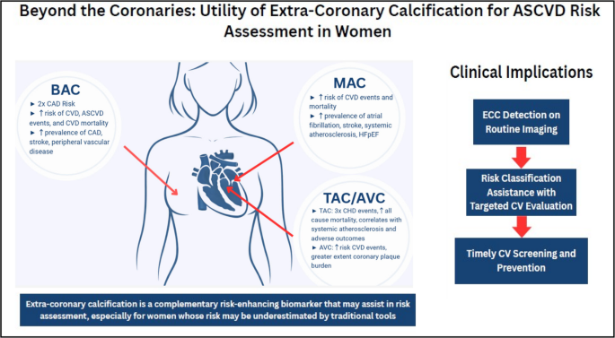 Beyond the Coronaries: Utility of Extra-Coronary Calcification for Cardiovascular Risk Assessment in Women