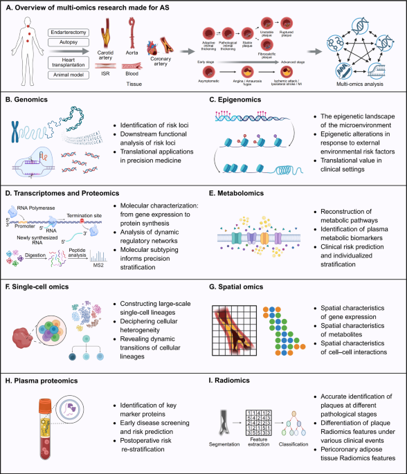 Unraveling Atherosclerosis through Multi-omics: Systematic Insights into the Unique Applications and Clinical Perspectives