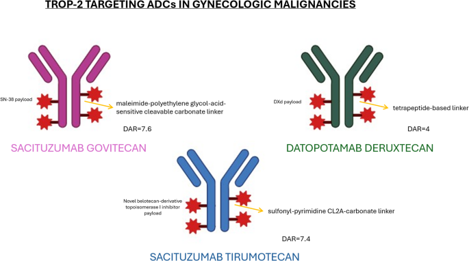 Sacituzumab Tirumotecan Across Gynecologic Malignancies: One Target, Multiple Diseases