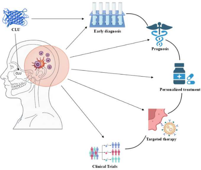Clusterin in Head and Neck Squamous Cell Carcinoma: Diagnostic, Prognostic, and Therapeutic Implications