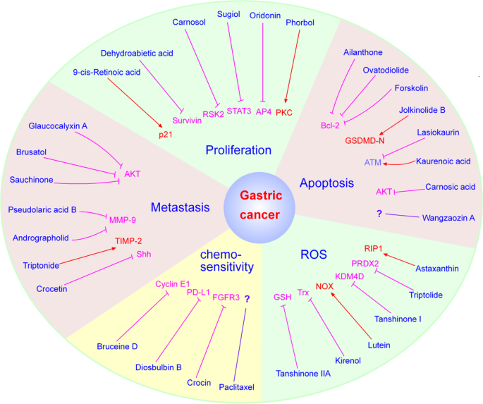Plant-Derived Diterpenoids as Potential Chemotherapeutics for Gastric Cancer