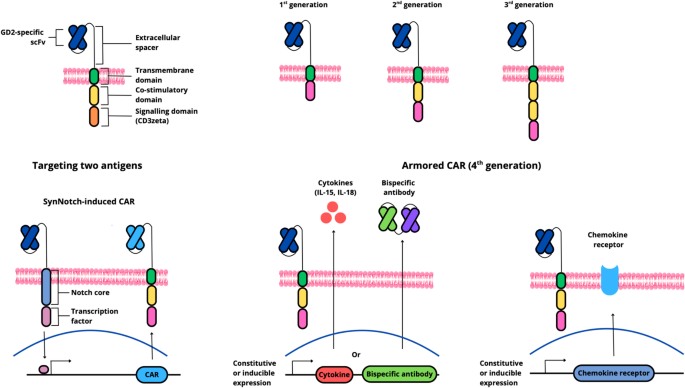 Targeting GD2 with CAR-T Cell Therapy in Neuroblastoma: Updates, Challenges, and Future Perspectives