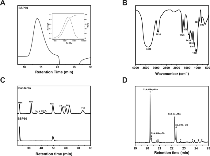 Structural characterization, rheological properties, and skin bioactivities of a glucomannan from