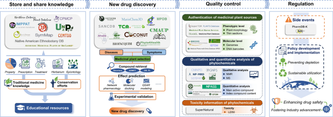 Exploring the global mosaic of medicinal plant databases: unveiling nature’s pharmacopoeia