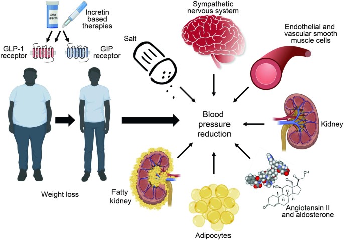 Should Incretin Agonist-Based Brugs be Considered for First Line Antihypertensive Therapy?