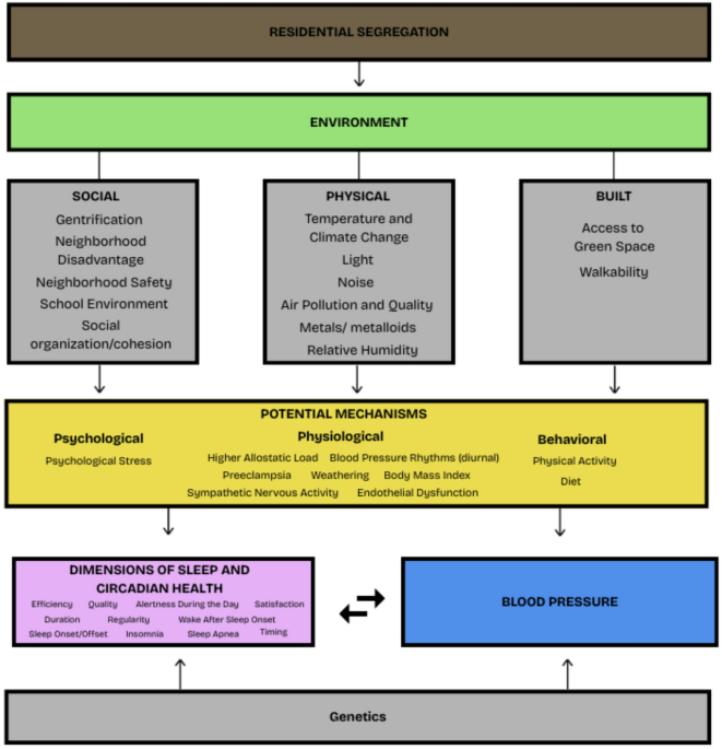 Environmental Determinants of Sleep and Hypertension: A Critical Review of Evidence and Mechanisms