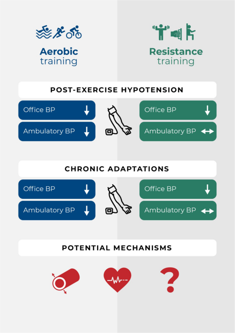 Does Resistance Training Provide Benefits that Are Comparable to Aerobic Exercise in Hypertension?