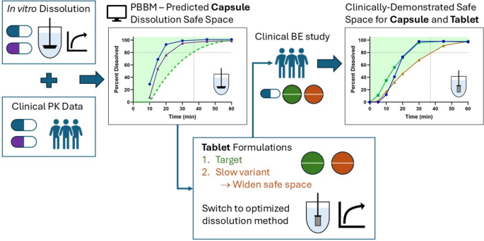 Guiding the Molnupiravir Tablet Formulation Using Physiologically Based Biopharmaceutics Modeling and Successfully Establishing Dissolution Safe Space