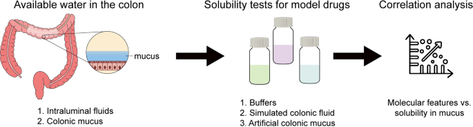Exploration of Colonic Mucus as A Dissolution Compartment for Orally Administered Drugs