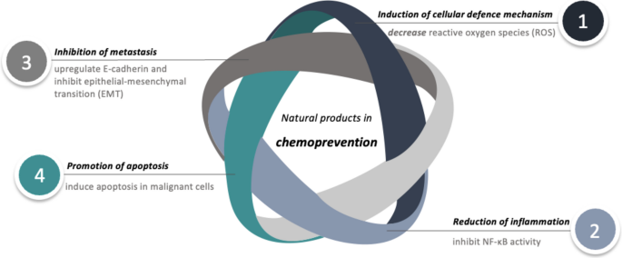 Nanotechnology-enhanced Natural Products for Cancer Chemoprevention: Molecular Mechanisms and Clinical Translation