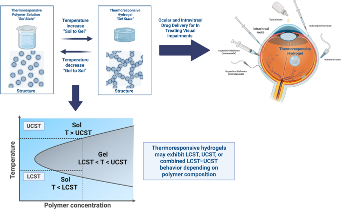 Applications of Thermoresponsive Hydrogels for Sustained Drug Release in Ocular and Intravitreal Formulations Treating Visual Impairments