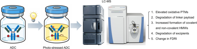 In-depth Characterization of Photo-Stressed Antibody–Drug Conjugates by Mass Spectrometry